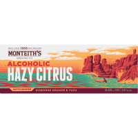 Batch Brewed Hazy Citrus Beer Cans (10 x 330ml)