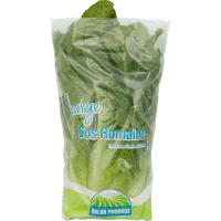 Cos Romaine Lettuce (1pk)