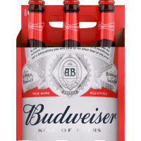 Beer (6 x 330ml)