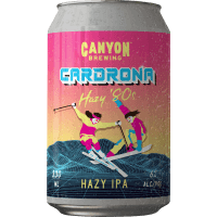 Hazy 80 IPA (6 x 330ml)