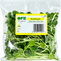 Sunflower Salad (70g)