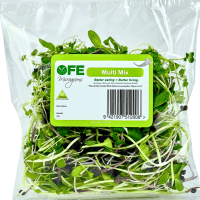 Multi Mix Salad (70g)
