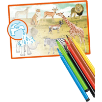 Seasonal Colour Me Canvas (1pk)