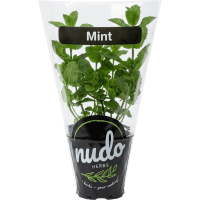 Mint Herbs (1pk)