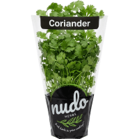 Coriander Large Pot (1pk)