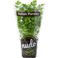 Italian Parsley Herbs (1pk)