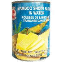 Canned Bamboo Shoot Slices in Water (540g)