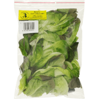Lettuce Salad (150g)