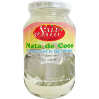Nata De Coco Coconut Gel Dessert (340g)