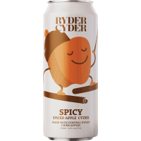 Spicy Apple Cider (330ml)
