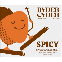 Spicy Apple Cider (6 x 330ml)