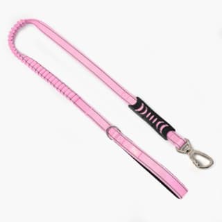 Dog Friendly Co. Original Bungee Dog Leash - Small, Pink