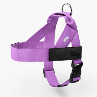 Dog Friendly Co. Dog Harness - Extra Extra Small, Purple