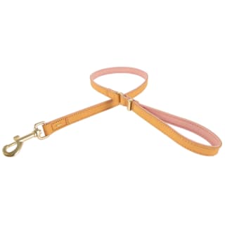 EzyDog Oxford Leather Dog Lead - Blush