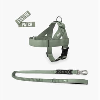 Dog Friendly Co. Premium Dog Signature Kit - Small, Khaki