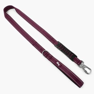 Dog Friendly Co. Premium Classic Dog Leash - Small, Burgundy