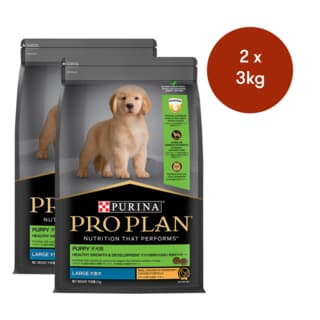 Pro Plan Puppy Large Breed Chicken Dry Dog Food - 6kg (2x 3kg bags)
