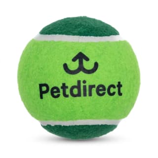 Petdirect Tennis Ball Dog Toy - Green