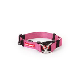 EzyDog Double Up Dog Collar - Medium, Pink