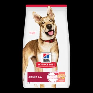 Hill's Science Diet Adult Salmon & Brown Rice Recipe Dry Dog Food - 14.9kg
