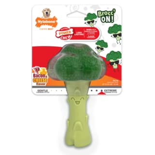 Nylabone Power Chew Broccoli Dog Chew Toy - Large