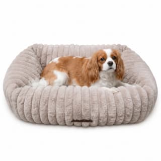 Coco & Cooper Ambient Snooze Calming Cat and Dog Bed - Medium/ Large, Beige