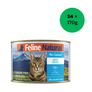 Feline Natural Beef Feast Wet Cat Food - 170g x 24
