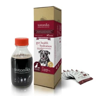 Totoniks Dog Gut Health & Hydration Starter Pack - Large Breed