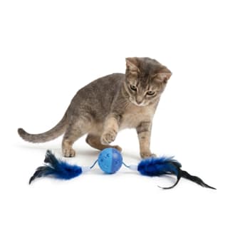 M-PETS Wonders Bell Ball Cat Toy - Single Assorted Colour