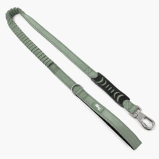 Dog Friendly Co. Premium Bungee Dog Leash - Small, Khaki