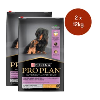 Pro Plan Performance Starter Mother & Puppy Chicken Dry Dog Food - 24kg (2x 12kg bags)