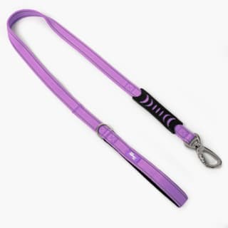 Dog Friendly Co. Original Classic Dog Leash - Regular, Purple