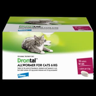 Drontal Allwormer Tablets for Cats Bulk Pack - 6kg