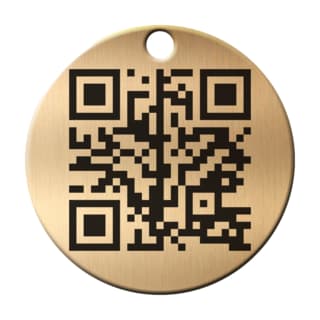 FOMO Pet QR Code ID Tags - Brass, Medium/Large