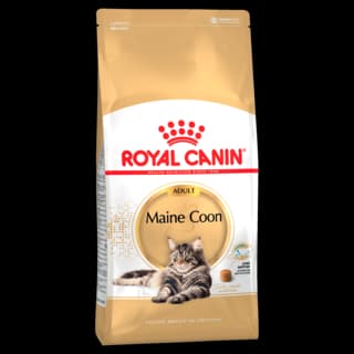 Royal Canin Maine Coon Adult Dry Cat Food - 2kg
