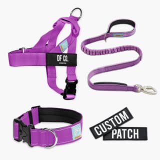 Dog Friendly Co. Dog Lovers Pack - Medium, Purple