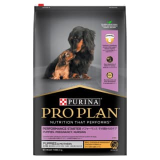 Pro Plan Performance Starter Mother & Puppy Chicken Dry Dog Food - 12kg