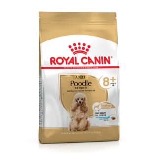 Royal Canin Poodle Adult 8+ Senior Dry Dog Food - 1.5kg