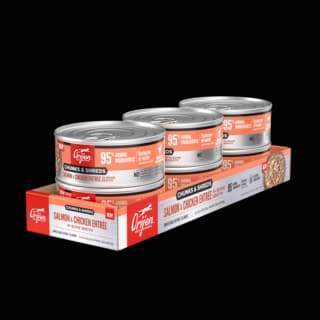 Orijen Salmon & Chicken Entrée Chunks & Shreds in Bone Broth Wet Cat Food - 155g x 6 (pack)