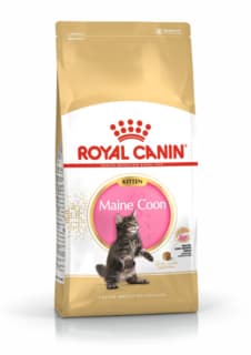 Royal Canin Maine Coon Kitten Dry Food - 2kg