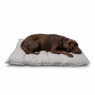 Pup & Purr Comfort Oasis Cat and Dog Mat - Medium