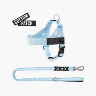 Dog Friendly Co. Dog Signature Kit - Small, Sky Blue