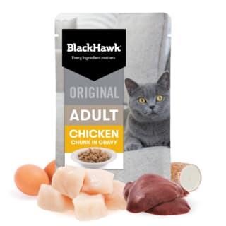 Black Hawk Original Adult Chicken in Gravy Wet Cat Food - 85g x 12