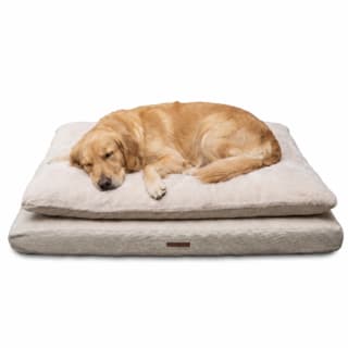 Coco & Cooper Supreme Serenity Orthopaedic Memory Foam Dog Bed - Large, Beige
