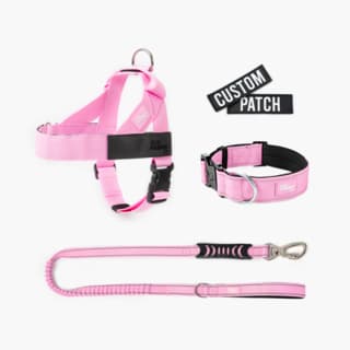 Dog Friendly Co. Dog Lovers Pack - Large, Pink