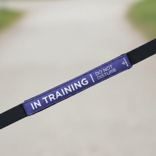 Petdirect In Training Dog Leash Sleeve - Purple