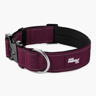 Dog Friendly Co. Premium Dog Tactical Collar - Small, Burgundy