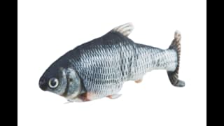 Wiggly Fish Cat Toy - Single
