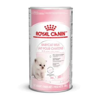 Royal Canin Babycat Milk - 600g (2 x 300g)