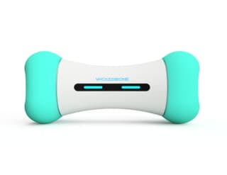 Cheerble Wicked SE Smart Dog Bone Toy - Mint